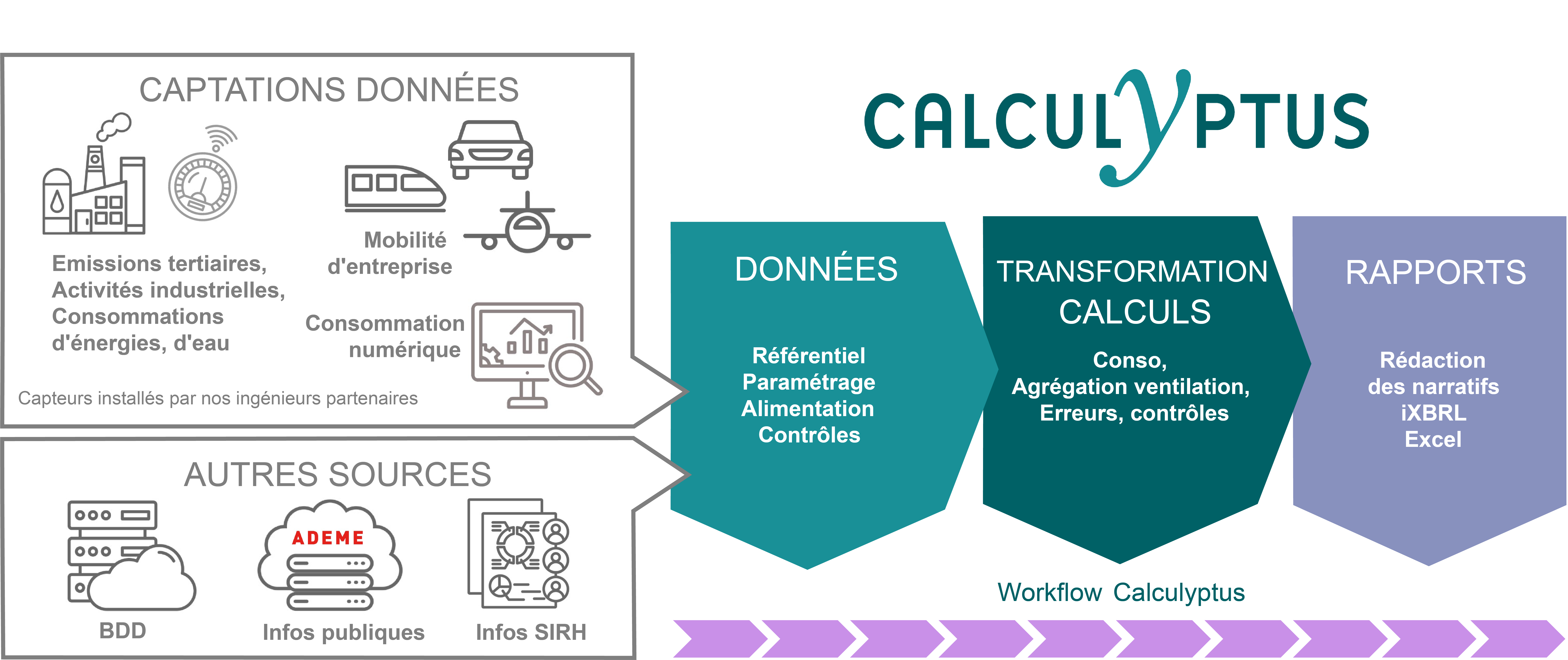 Process Calculyptus